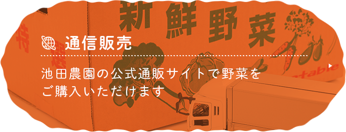 通信販売 関農園の公式通販サイトで野菜をご購入いただけます