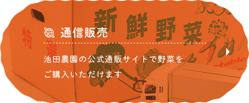 通信販売 関農園の公式通販サイトで野菜をご購入いただけます